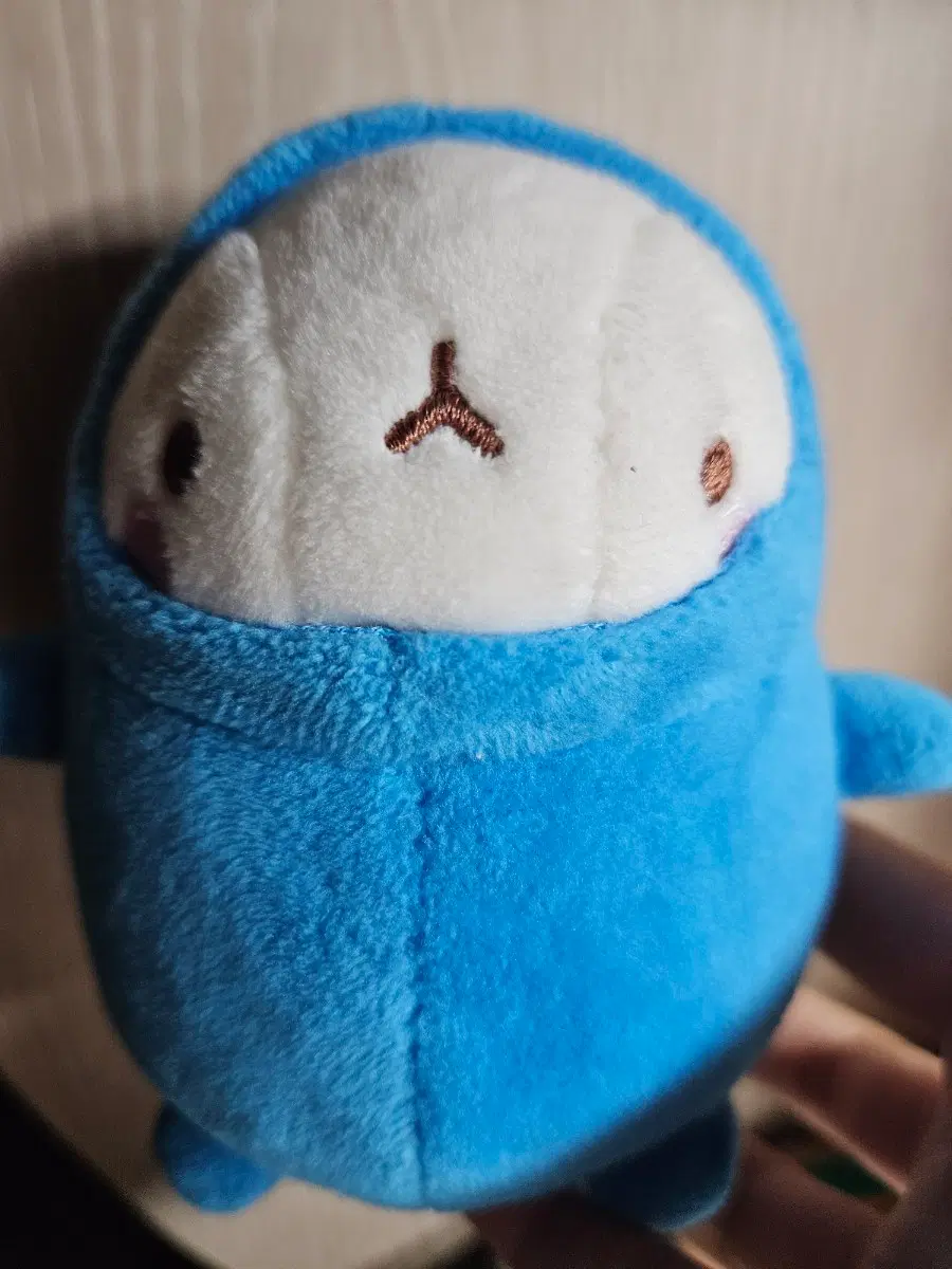 몰랑이 고양이 블루 인형 키링 판매