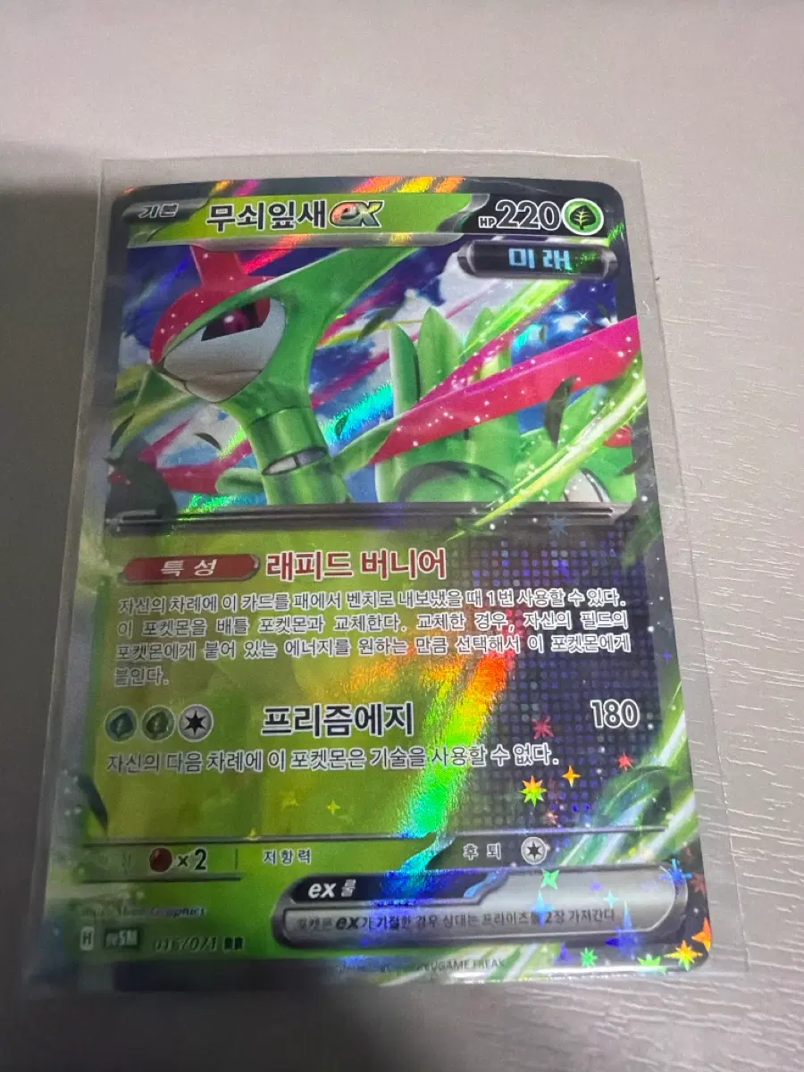 무쇠잎새 EX RR