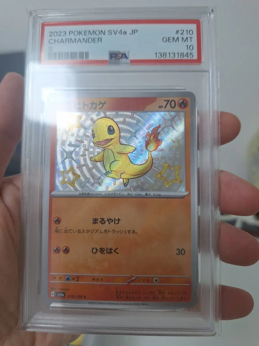 2023 포켓몬 카드 210/190 파이리 S 이로치가이 psa10