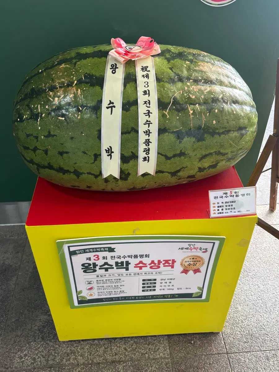 유도복 선수용 흰색구매합니다. 175~180