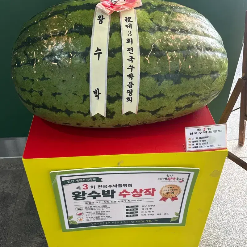 유도복 선수용 흰색구매합니다. 175~180