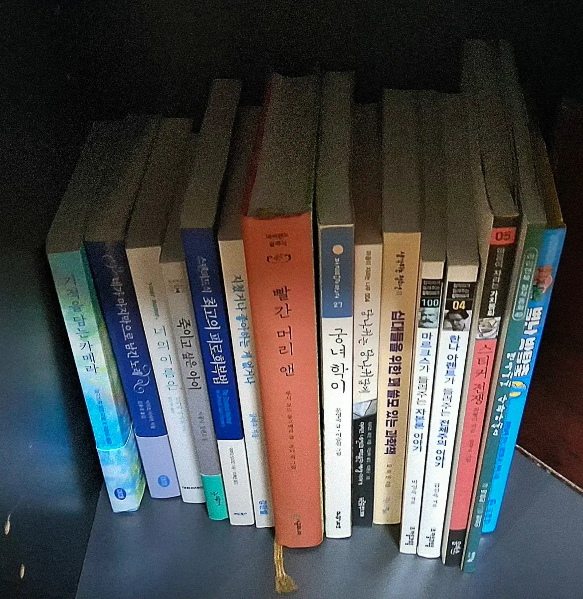 한 번 보고 가세요!) 개당 5000원 책 판매합니다 상태 모두 새거 일본 소설 청소년 소설 만화책 인문 교양