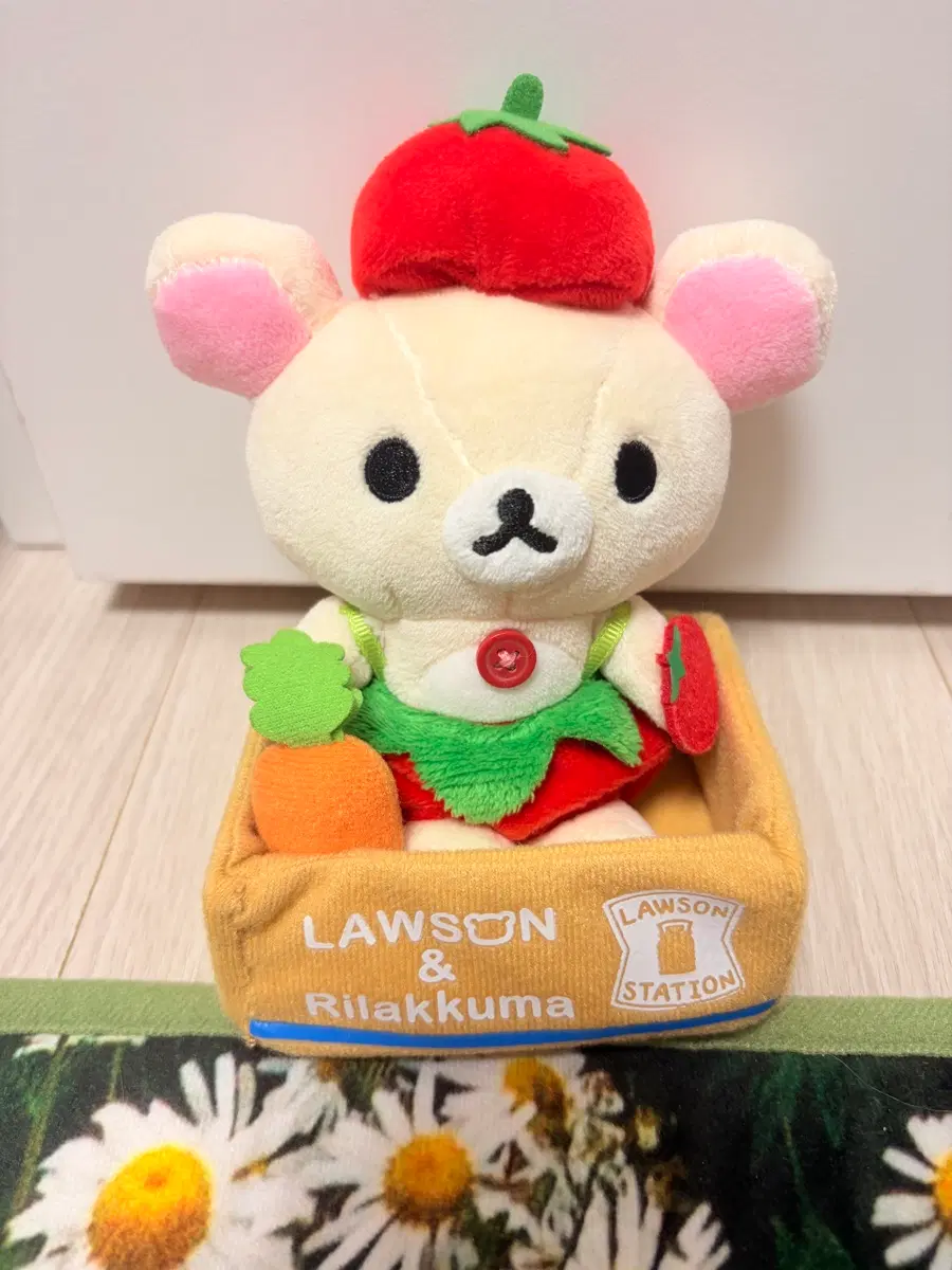 한정판 로손 콜라보 코리락쿠마 토마토 인형