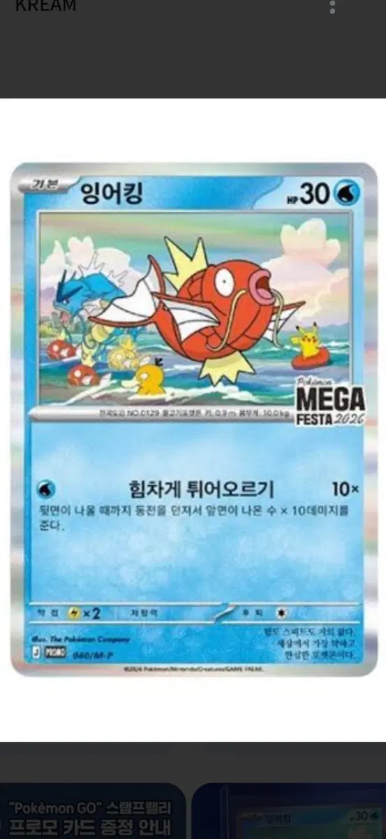 잉어킹 프로모 2장 일괄 급처