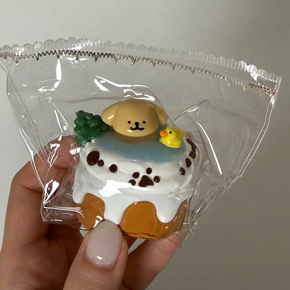몰티즈 말랑이