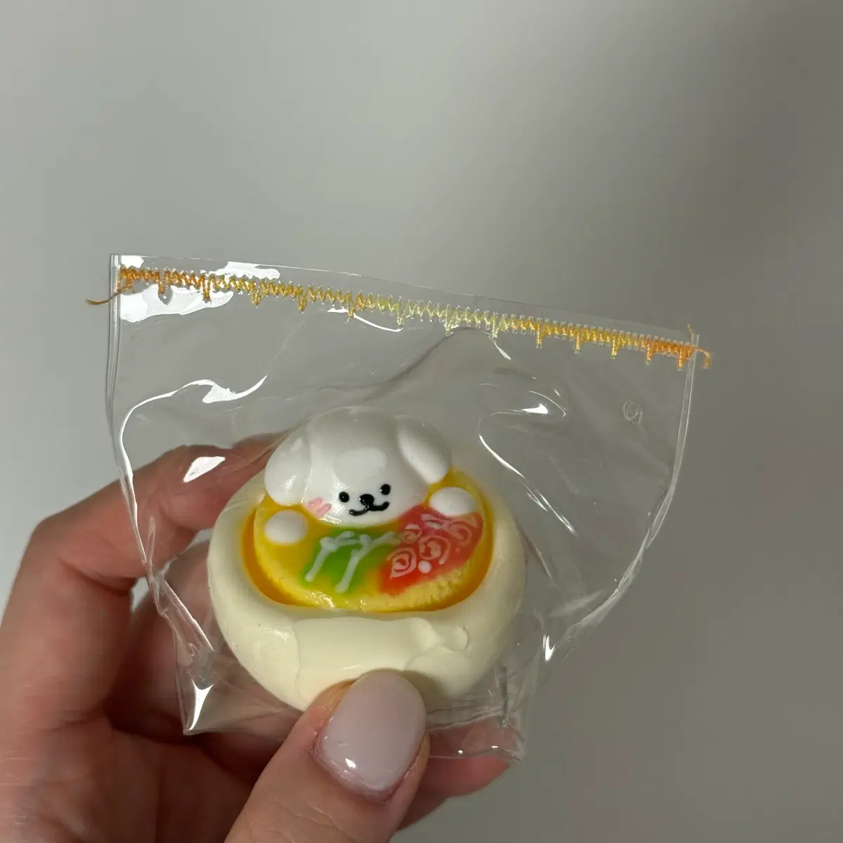 몰티즈 말랑이
