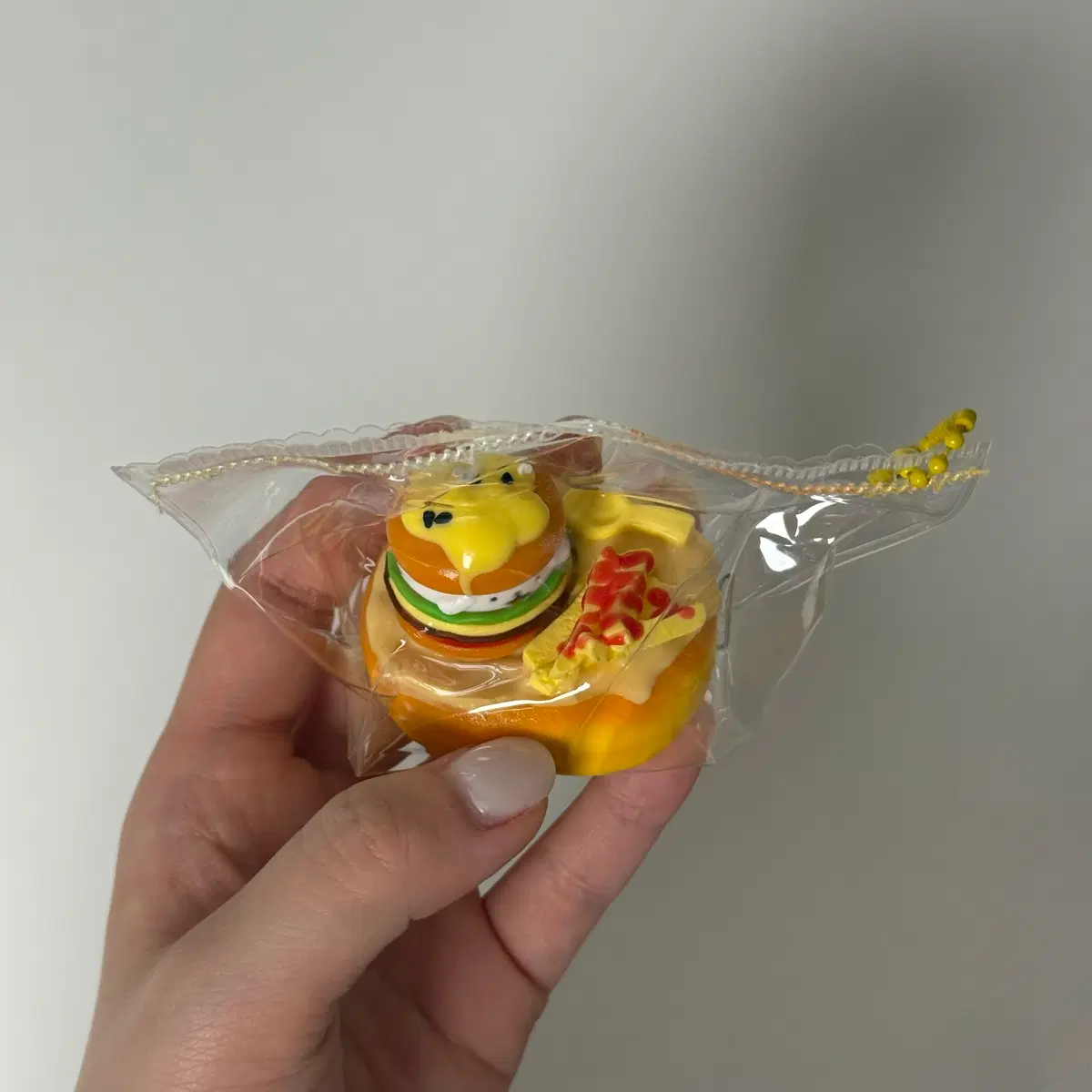 몰티즈 말랑이