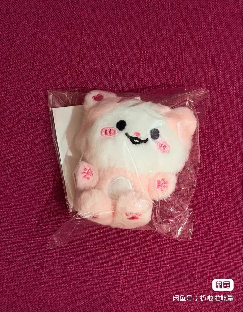 예판 있지 일본 인형