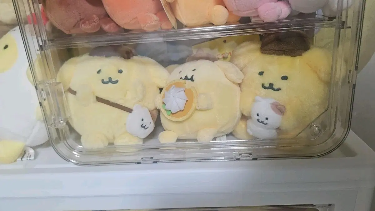 폼폼푸린 나가노 3종세트