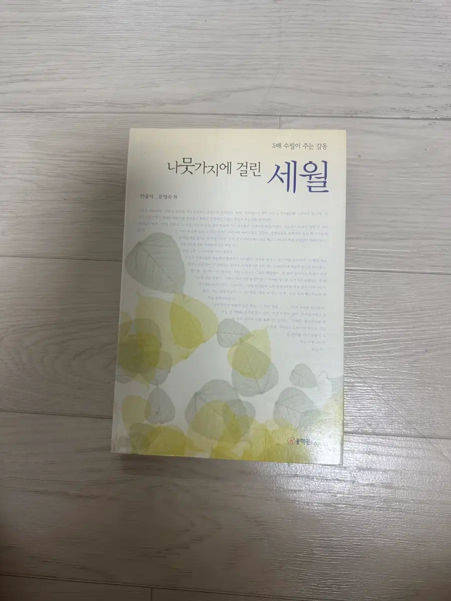 (9천원>3천원) 나뭇가지에 걸린 세월
