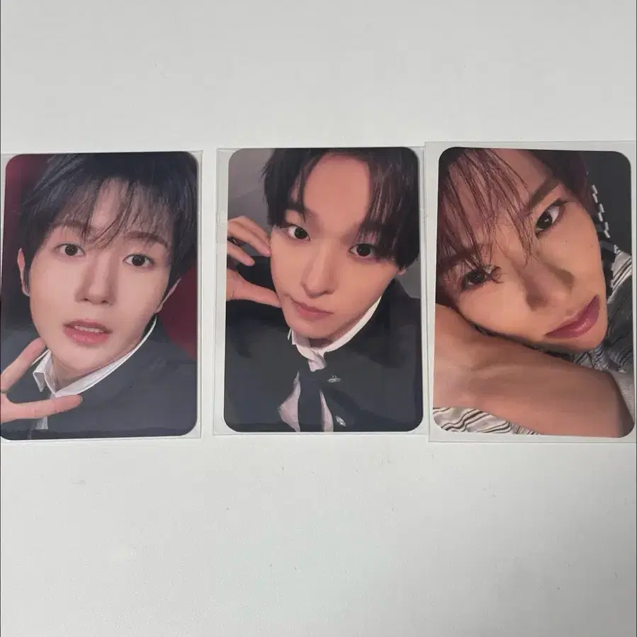 엔시티 위시 보밋걸 요이돈 포카 양도 시온 리쿠 료