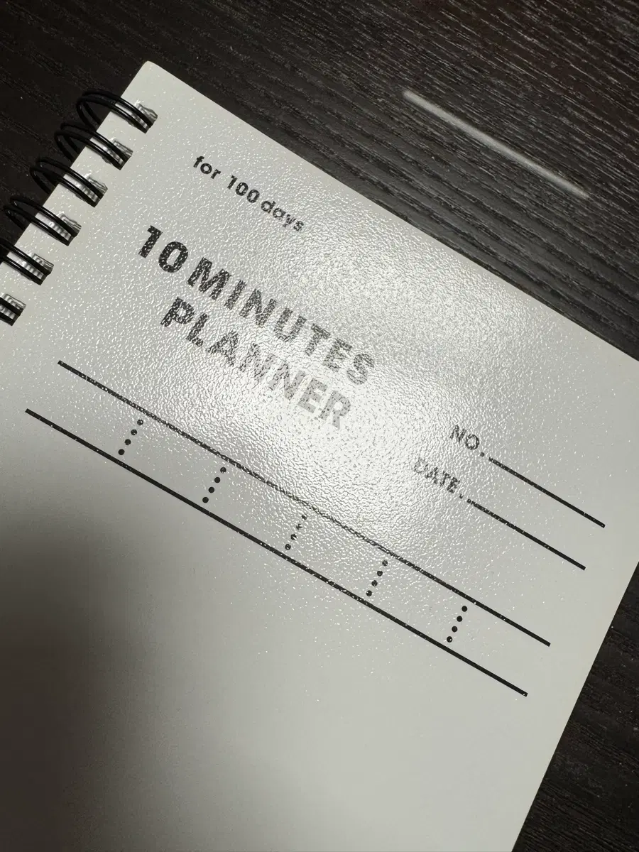 10 MINUTES PLANNER for 100 days