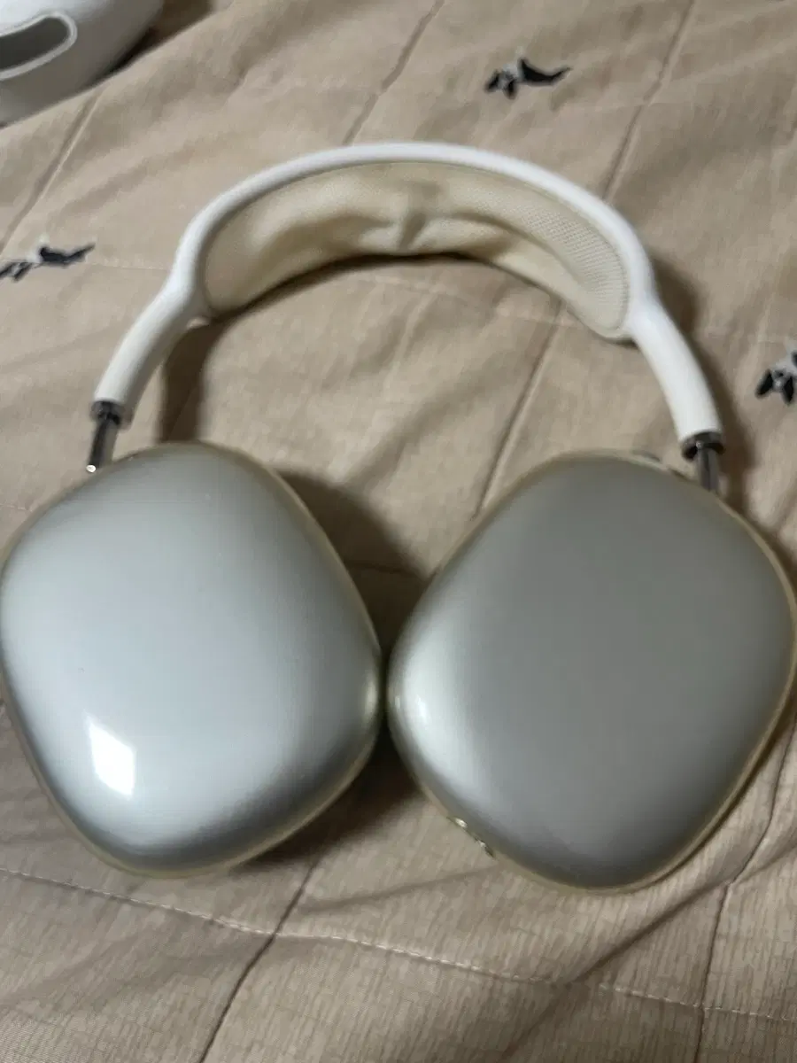 안123치