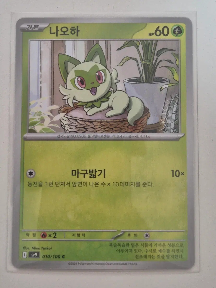 구. 포켓몬카드 나오하 sv9 C