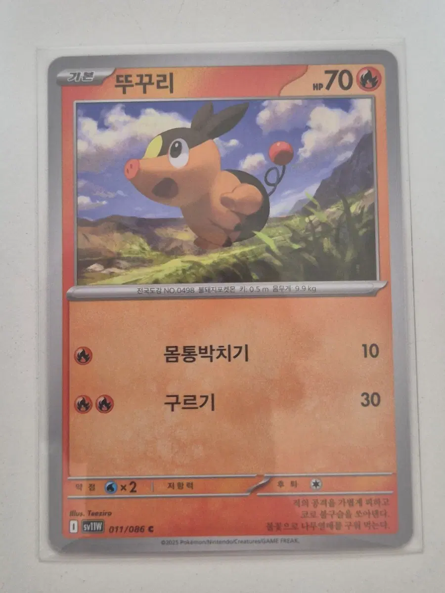 구. 포켓몬카드 뚜꾸리 sv11w C