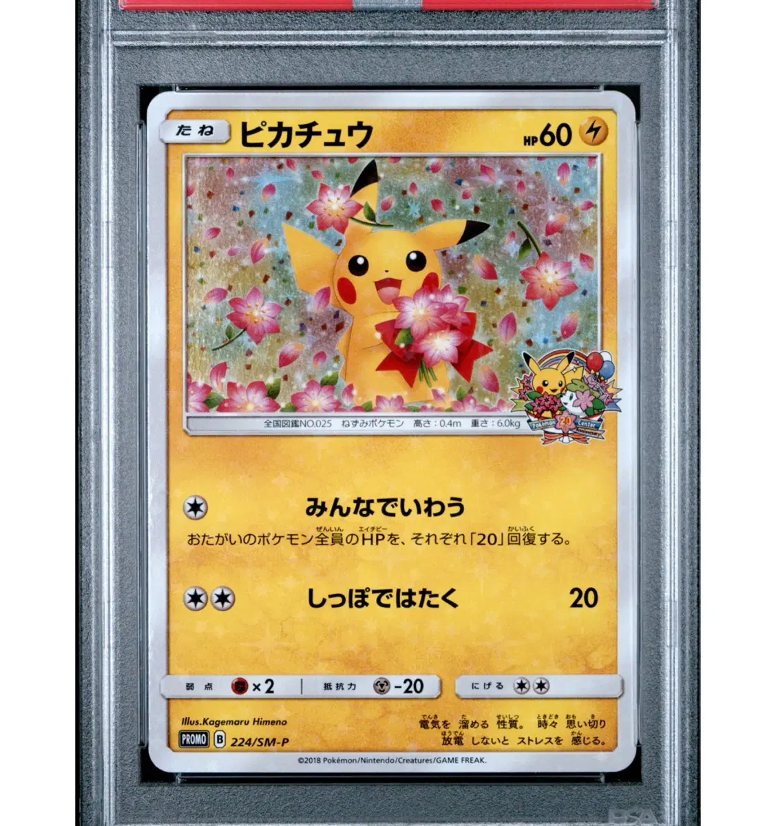 벚꽃츄 psa10 160에 구합니다!