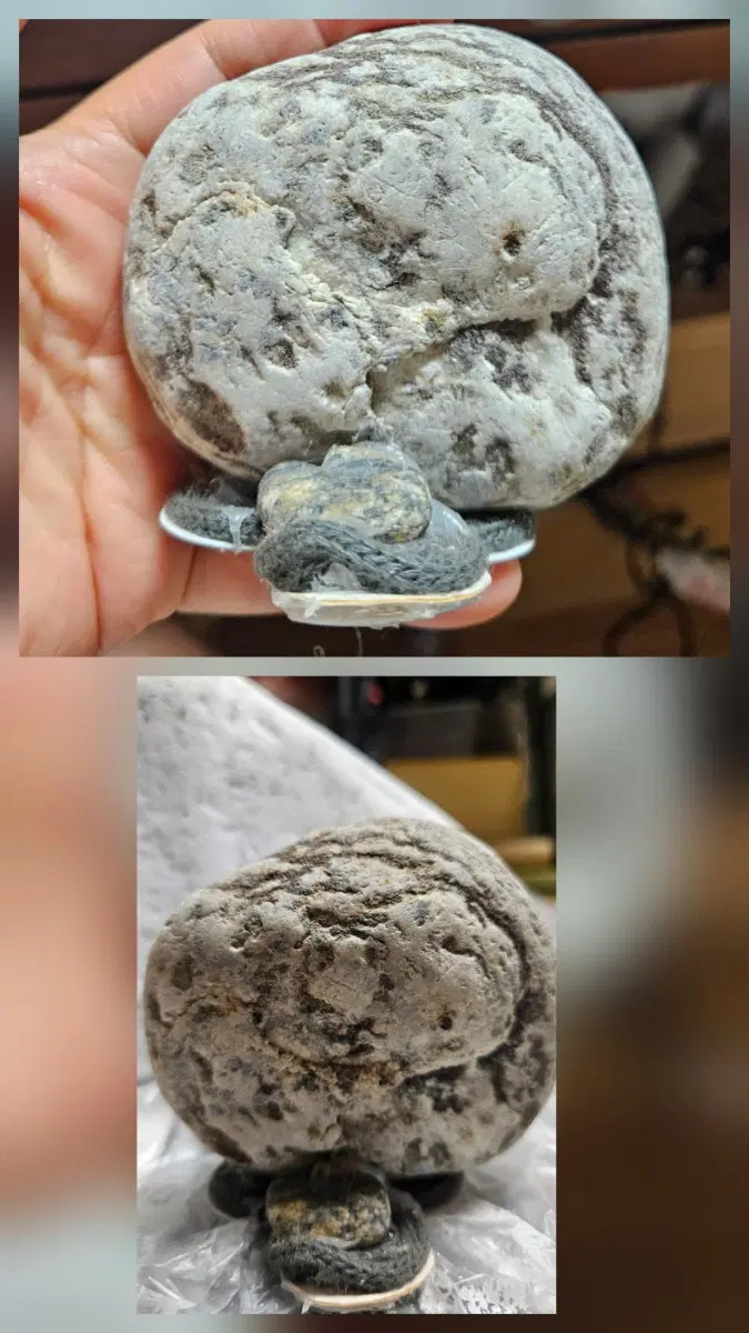 희귀문양석