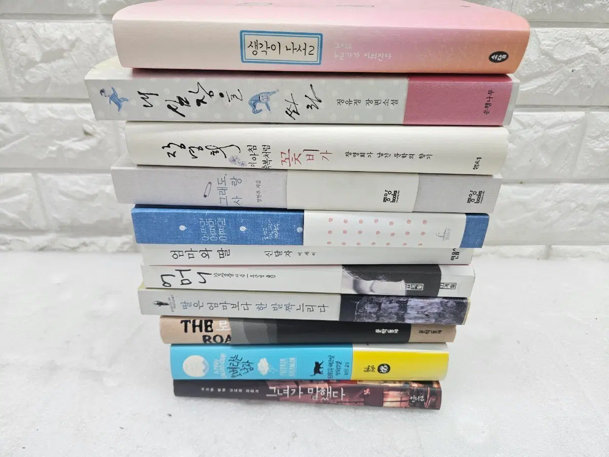 여러가지 소설책 11권 입니다