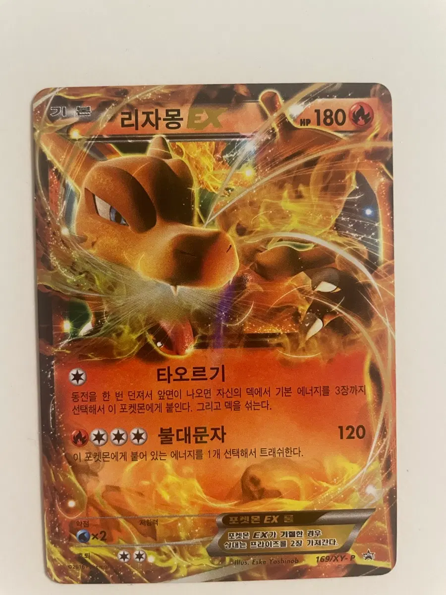 리자몽카드