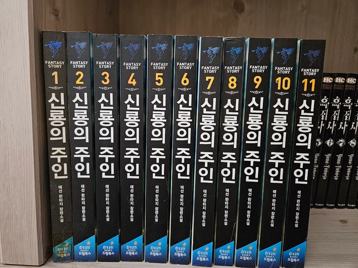 신룡의 주인 1-11권 세트