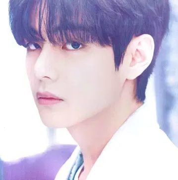BTS BTS, THE BEST V PHOTO CANVAS PURPLE