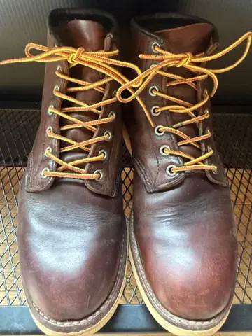 RED WING 100주년 25.5cm