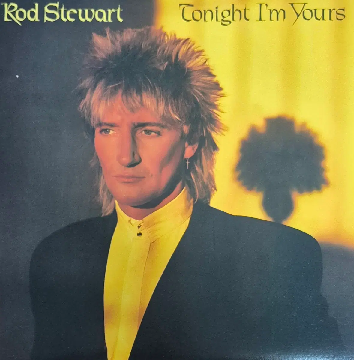 Tonight I'm Yours Rod Stewart LP