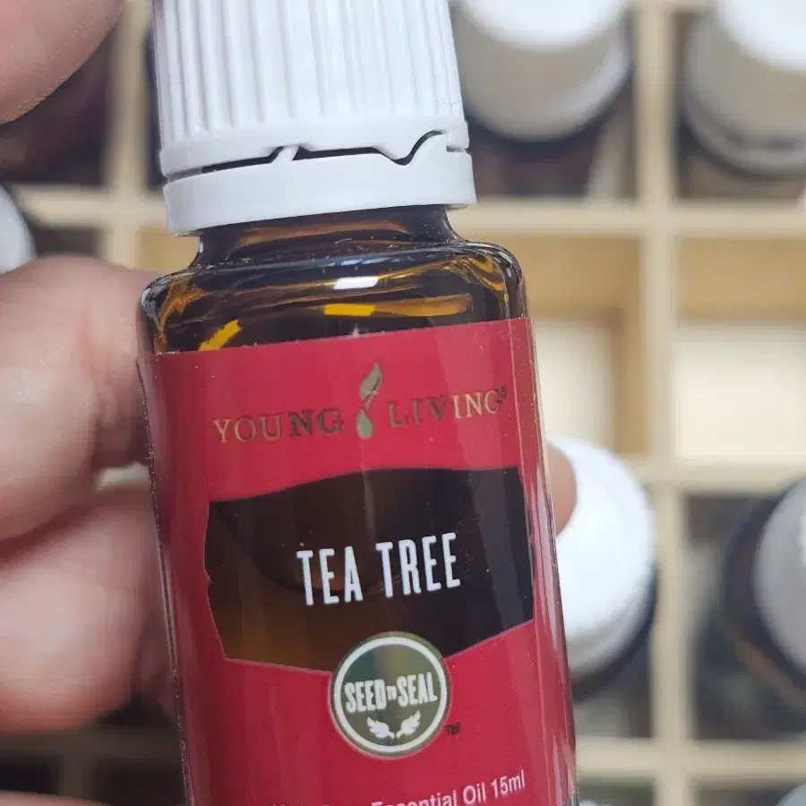 영 리빙 티트리 오일 15ml (새상품)