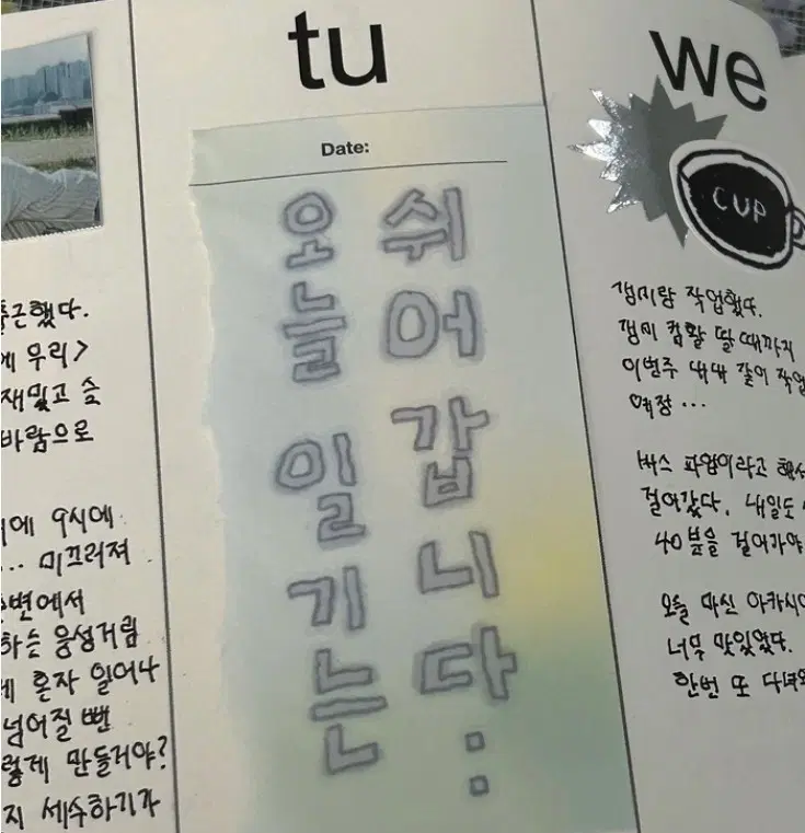 솔솔수집 상어와여름체 회색 키스컷
