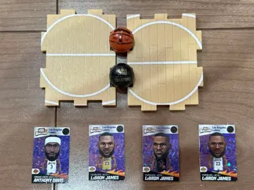 NBA Ballers 르브론 제임스 덤
