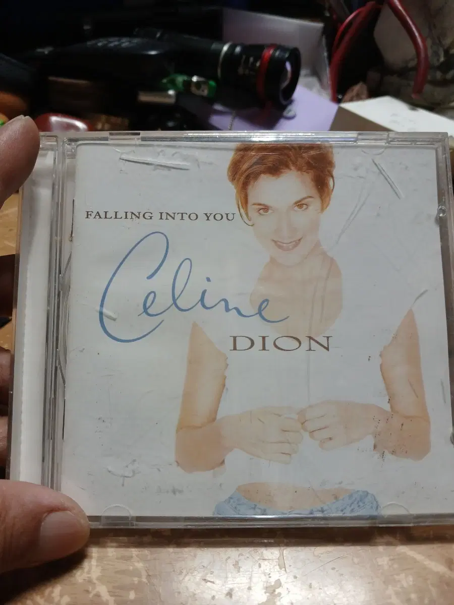 셀린 디온 Falling Into You CD