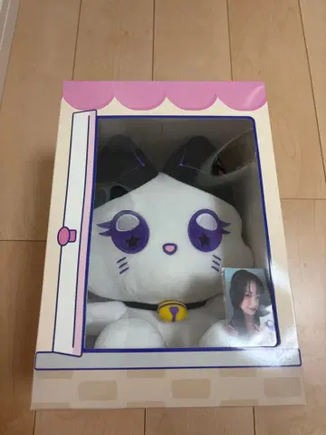 앉아 미야이즈 카사하라 모모나 MO:NA