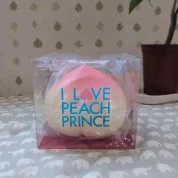 I BLOOM I LOVE PEACH PRINCE 스퀴즈