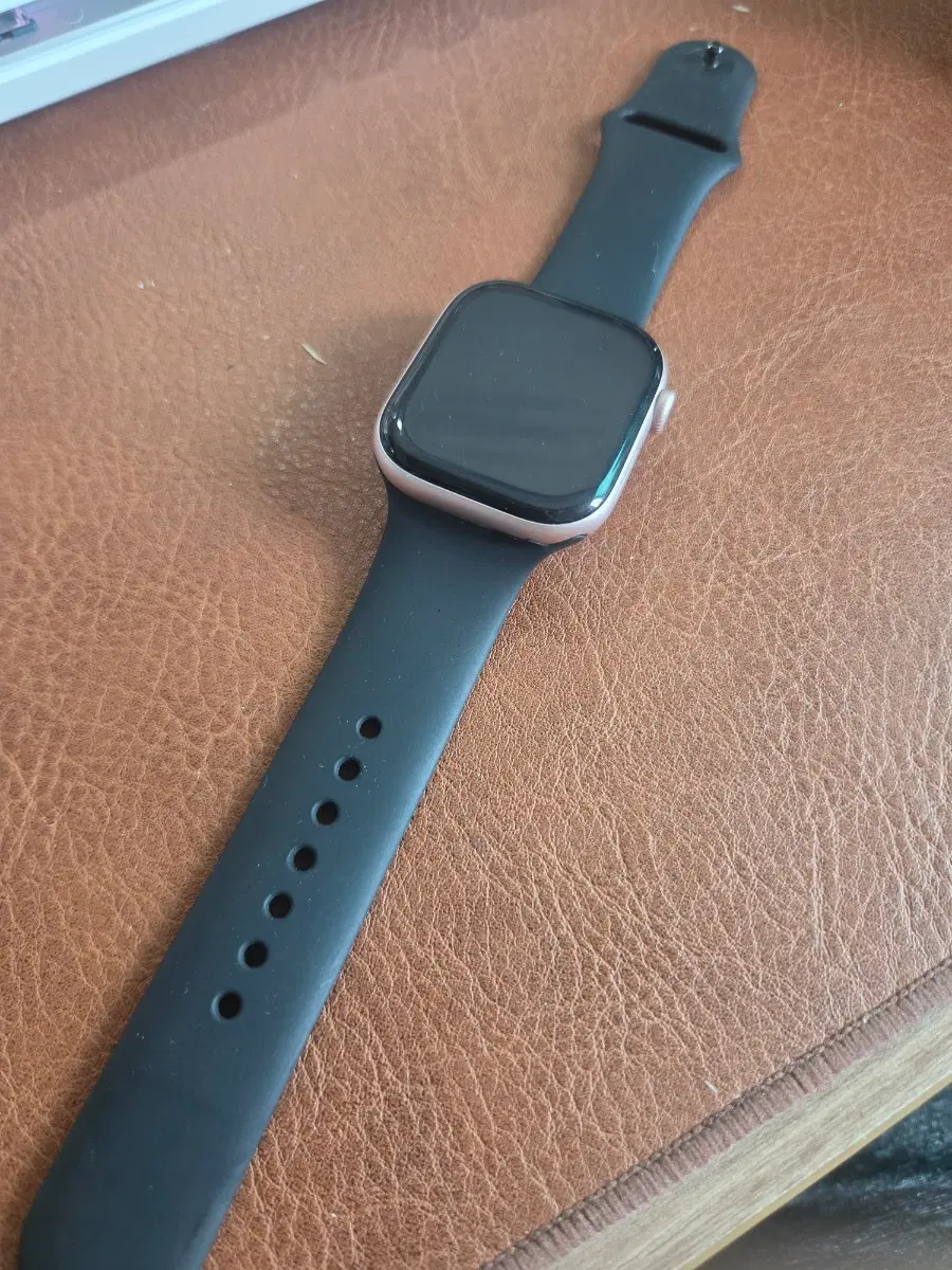 (애케플)애플워치 10 셀룰러 46mm 로즈골드