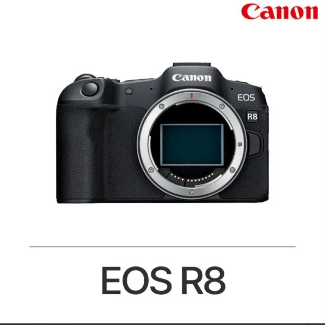 캐논 eos r8 새제품 배송지변경 판매!