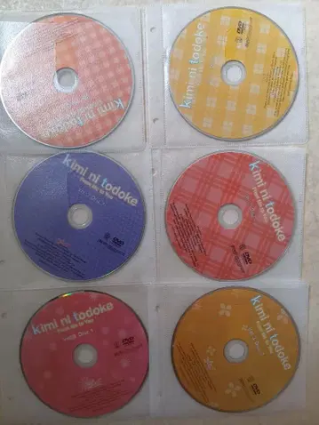 북미판 DVD 너에게 닿기를 vol.1~3 총 6장