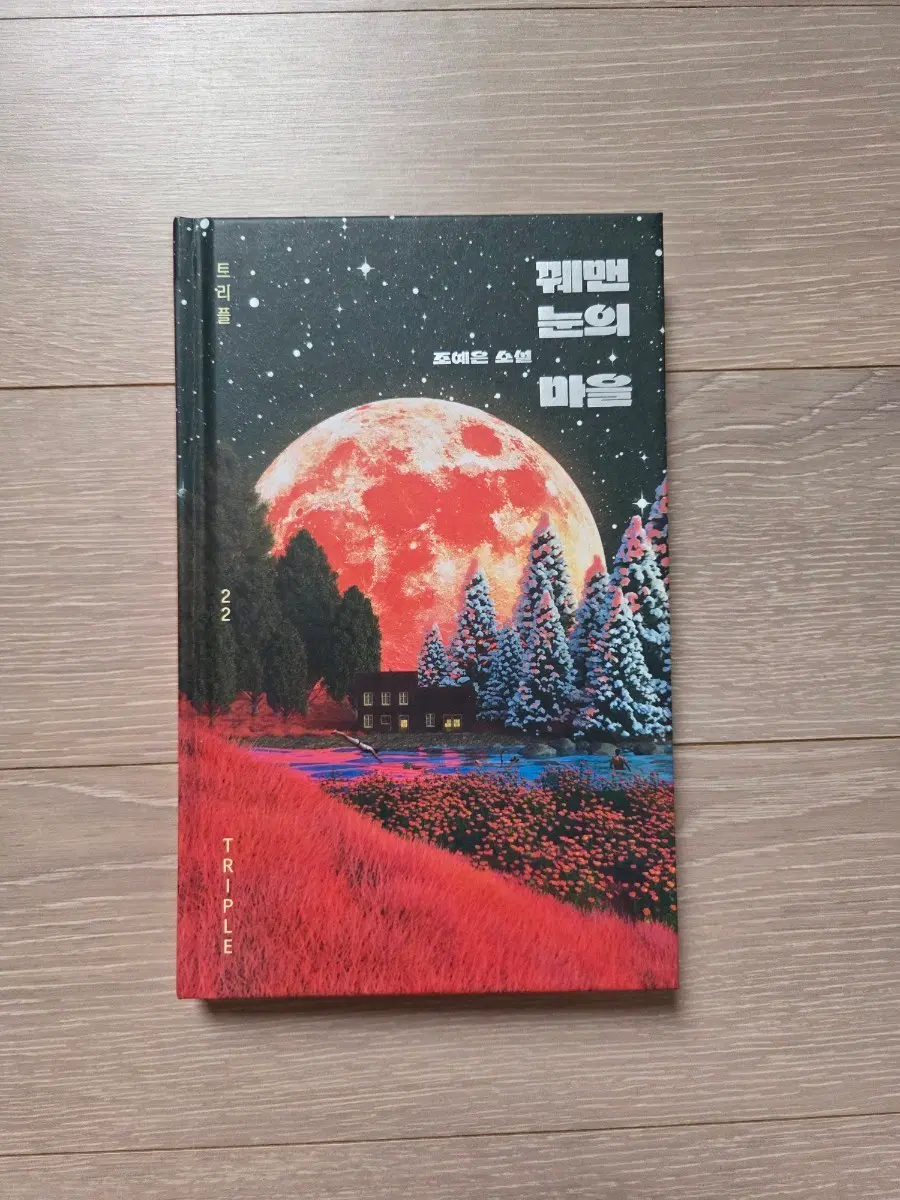 꿰맨 눈의 마을 조예은 소설