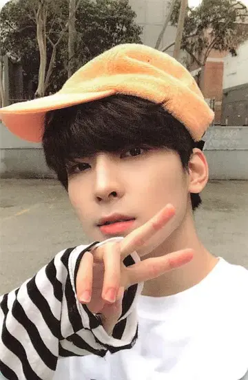 SEVENTEEN [Heng:garae] WONWOO 트레이딩 카드 HANA