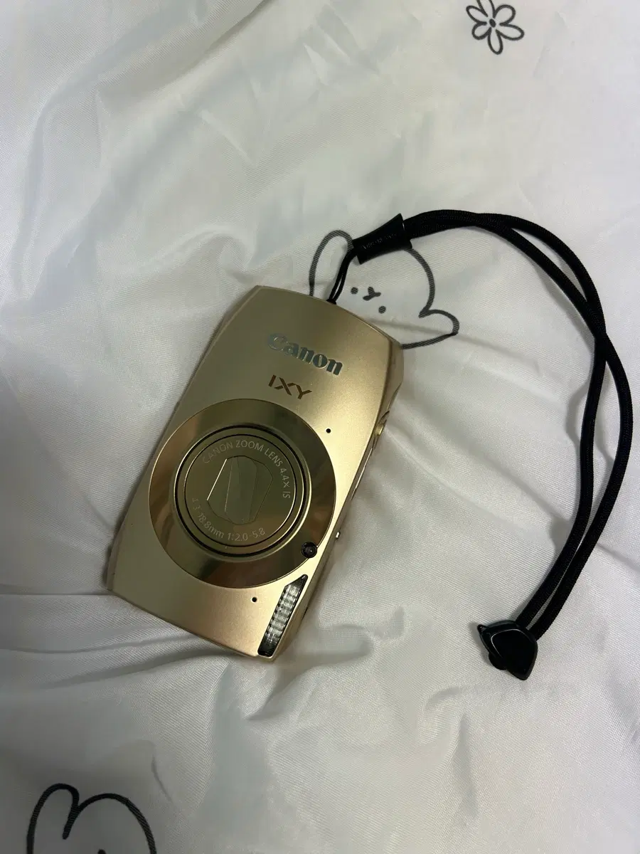 캐논 익서스 IXY 310 31S