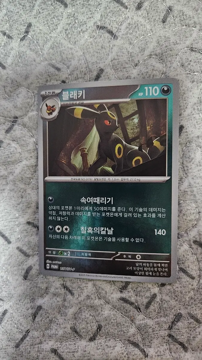포켓몬 카드 블래키 프로모 카드 (테라스탈 페스타)