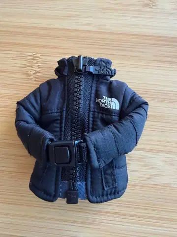 THE NORTH FACE 미니 눕시 자켓 키링