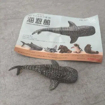 하시모토 미오 조각 카이유칸 징베이 상어 피규어