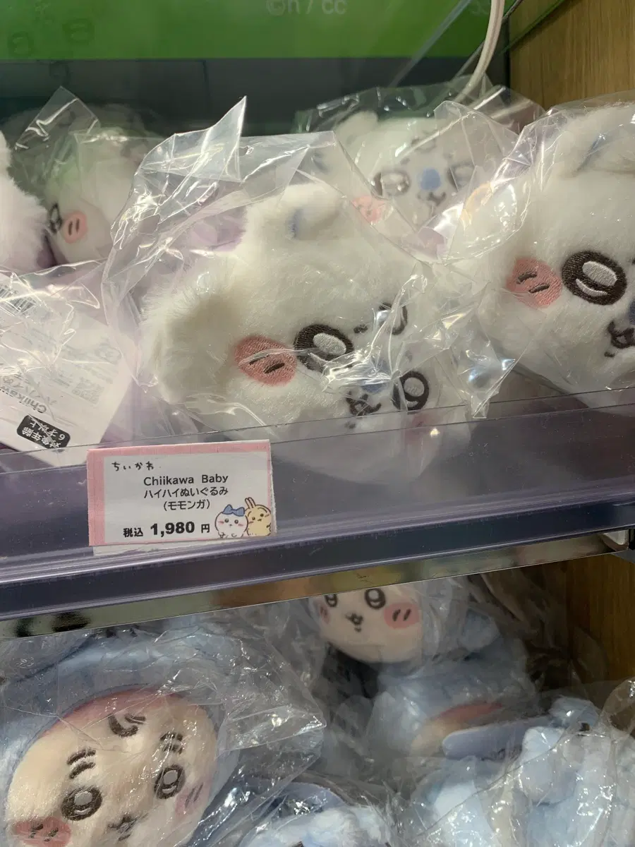 모몽가 하치와레 교환