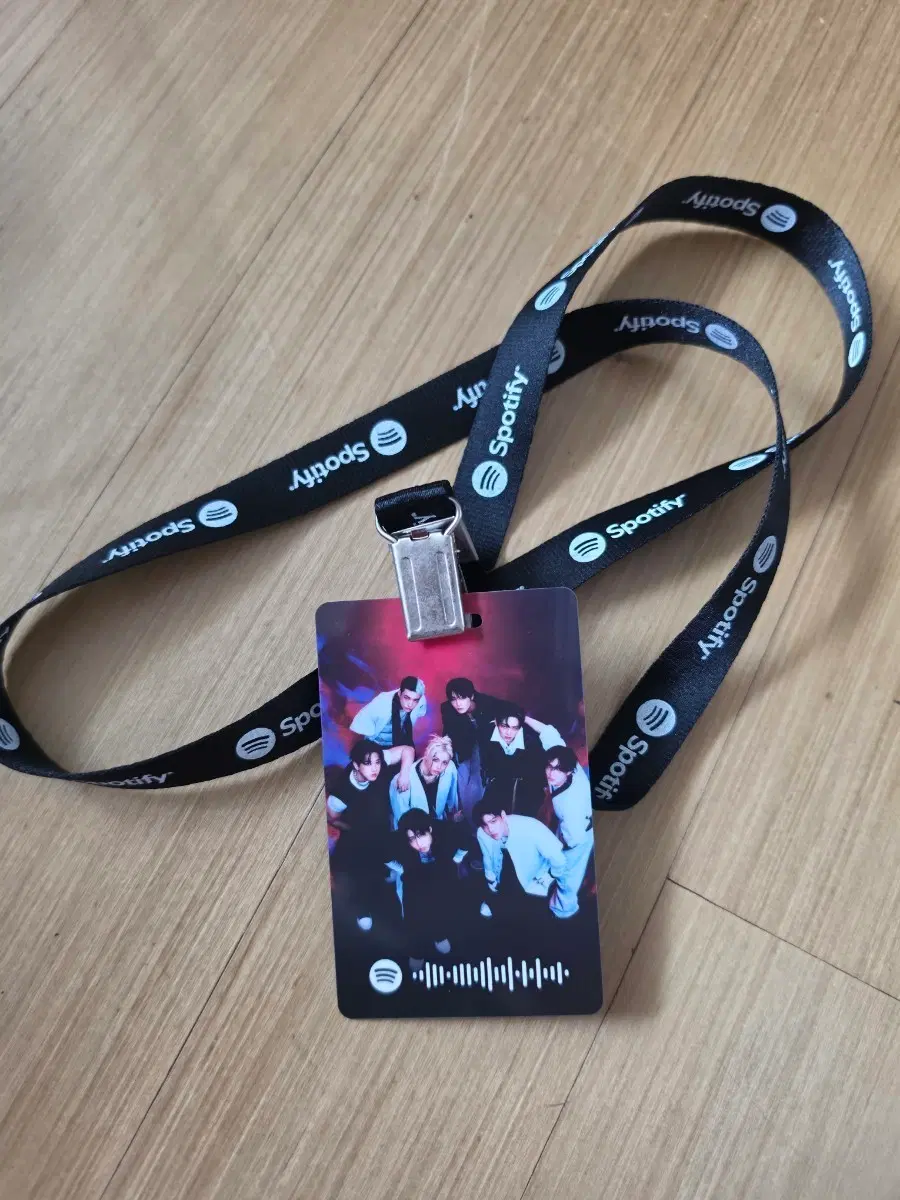 스트레이키즈 스포티파이 VIP증