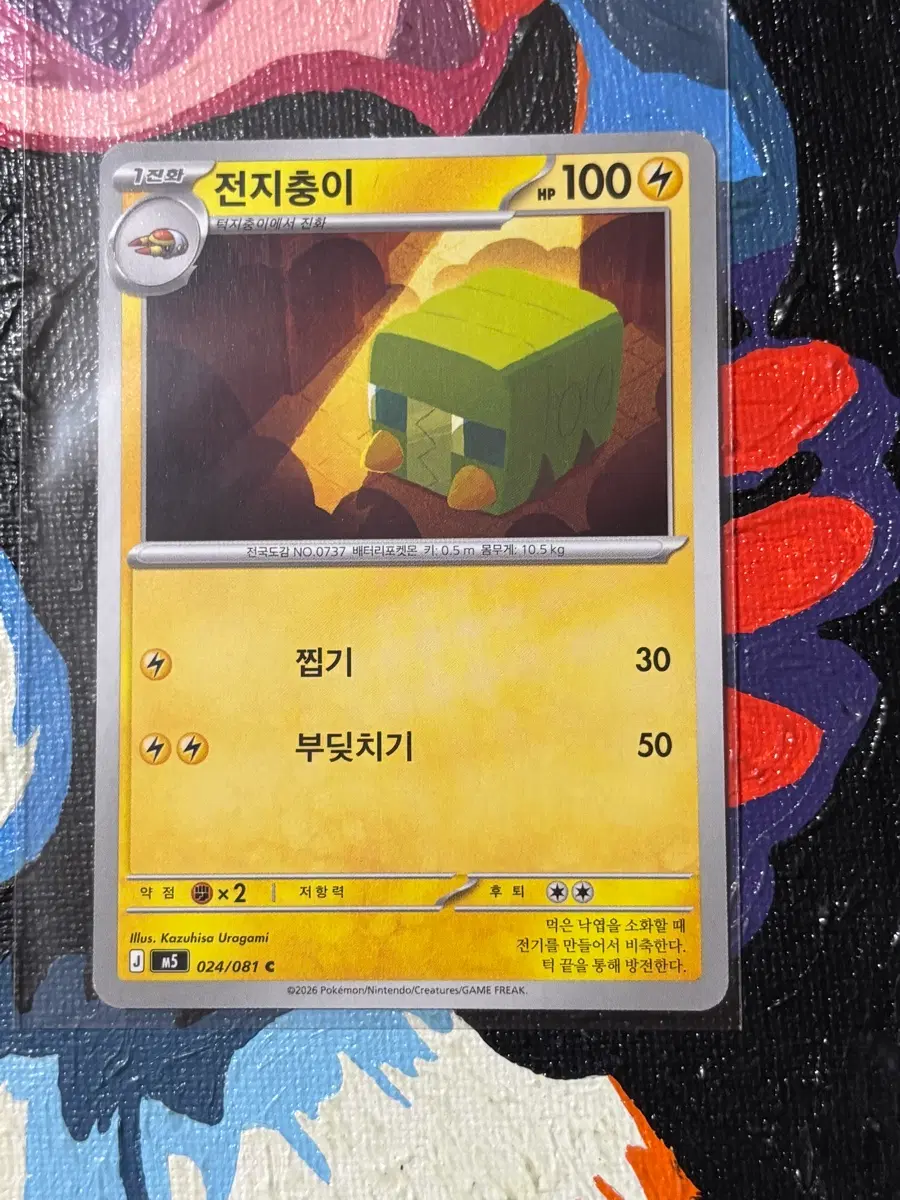 포켓몬스터 전지충이m5 포켓몬 카드 인테리어 소품 꾸미기용 포장용