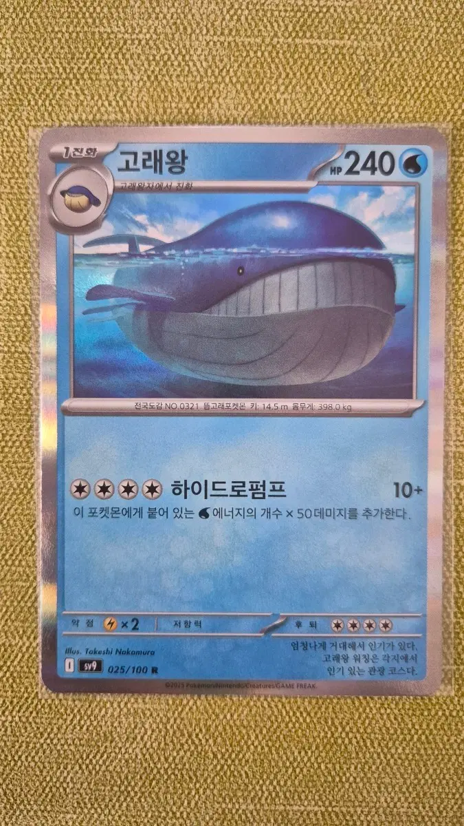 [포켓몬카드 한판] 고래왕 홀로 025/100 R