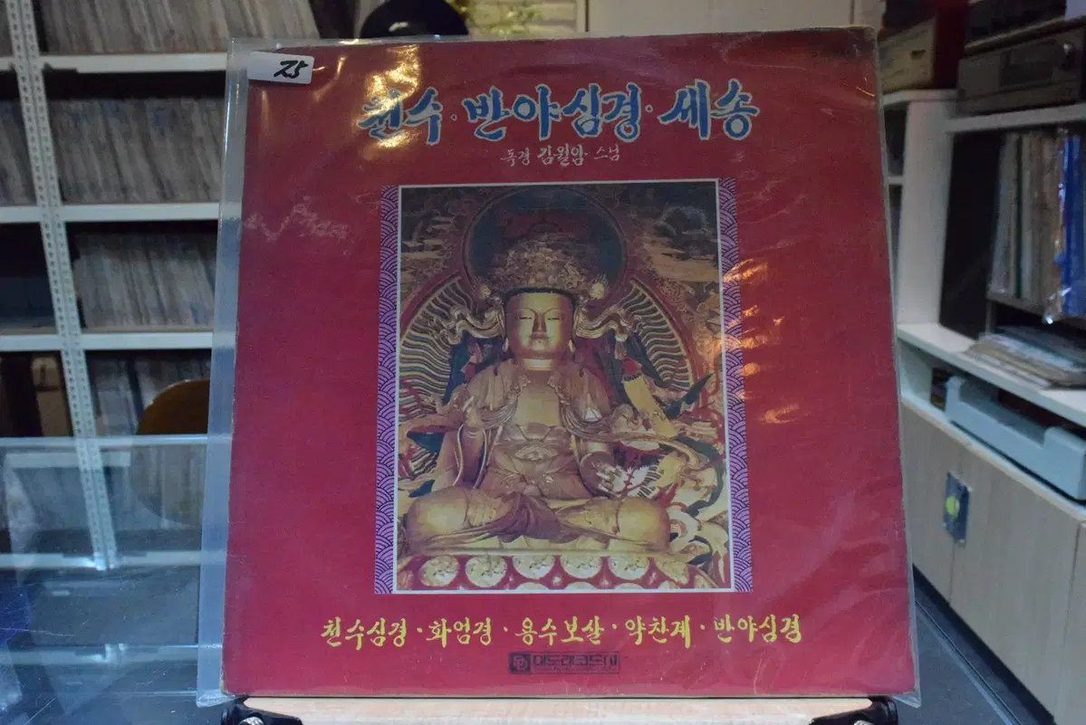 천수 반야심경 세송 민트 : 김월암 스님