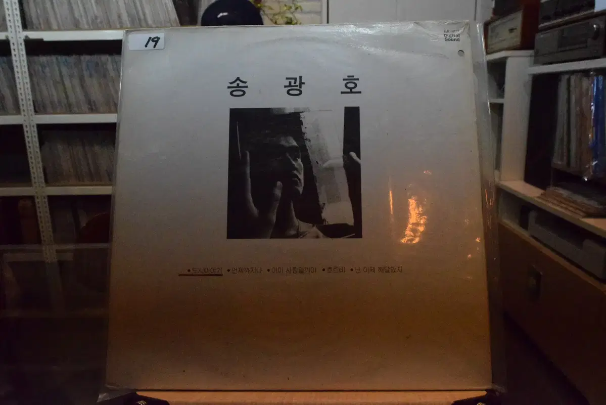 송광호 민트 : 도시이야기