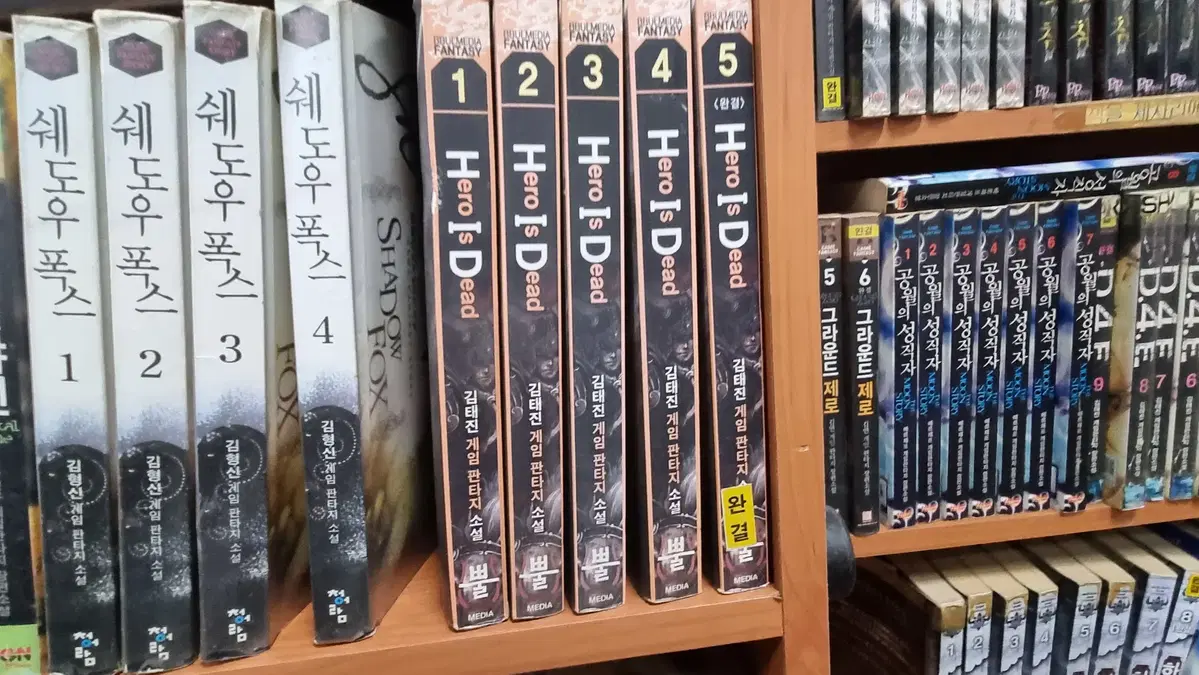 HID (hero is dead) 1-5 완 김태진 게임 판타지 소설