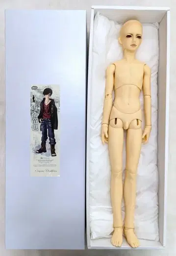 보크스 SDGr 남아 근위 타츠야